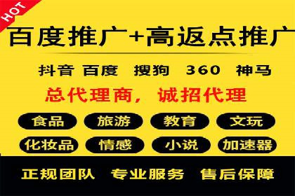 百度推广费用投入与品牌知名度提升的案例分析